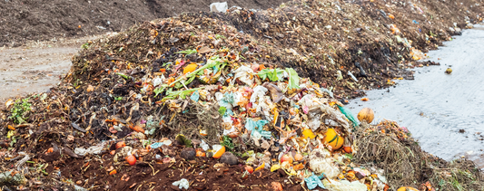 Composting pile of organic waste at an industrial processing plant