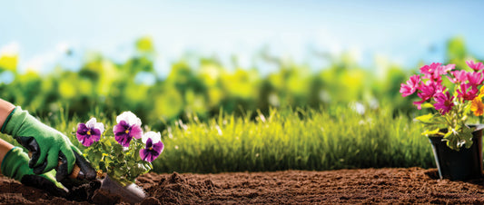 Are You Getting Ready to Spruce Up Your Garden Soil This Spring?